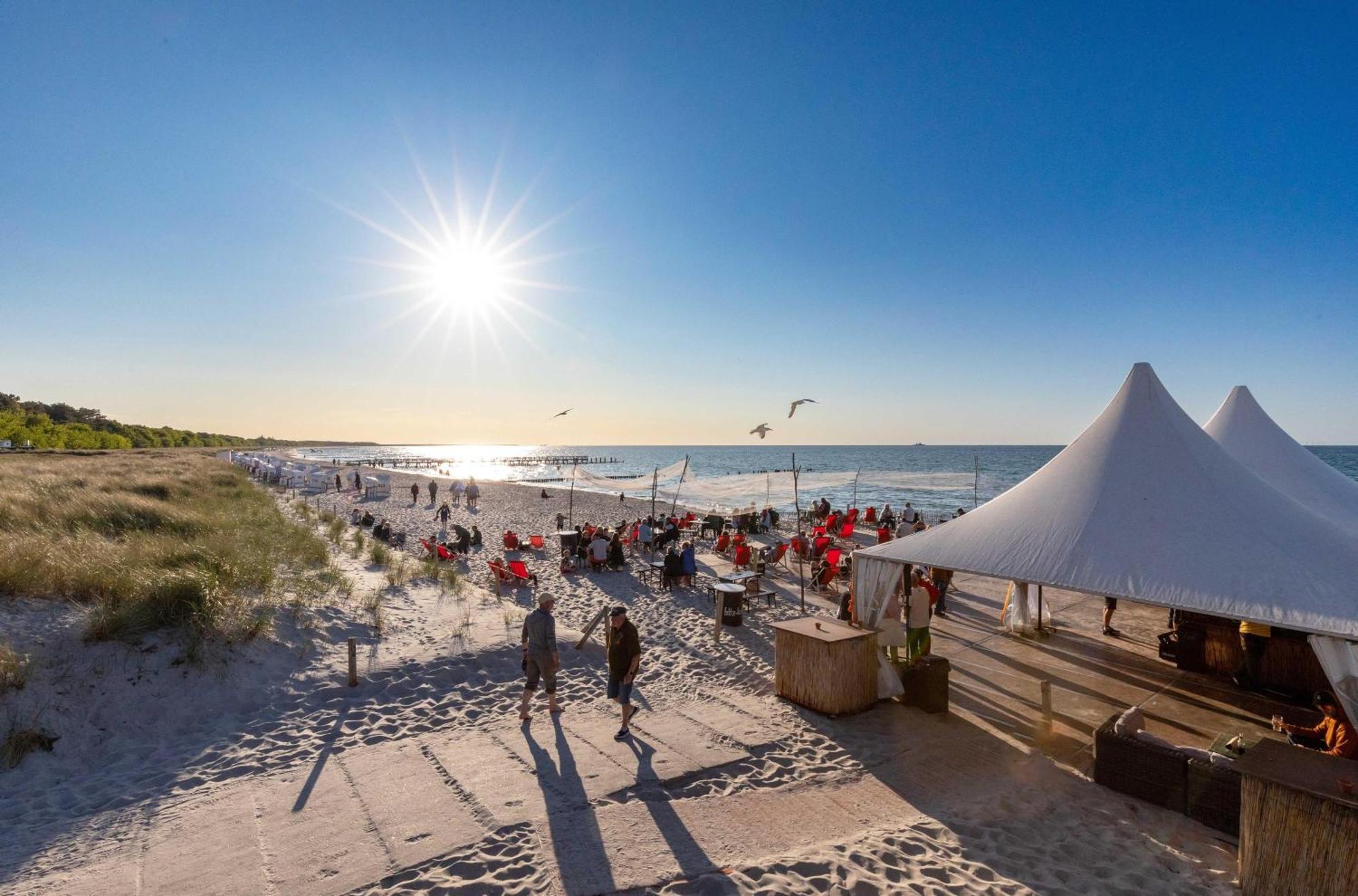 Windflüchter * Ostseeheilbad Zingst